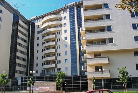 Konstelacja Miłkowskiego